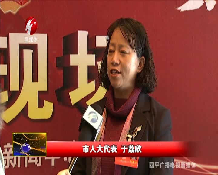 市八届人大四次会议代表分组审议《政府工作报告》