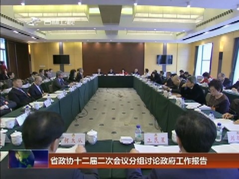省政协十二届二次会议分组讨论政府工作报告