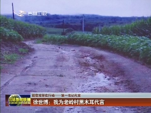 【脱贫攻坚在行动——第一书记代言】徐世博：我为老岭村黑木耳代言