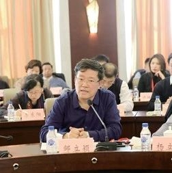 著名美术家邹立颖谈东丰农民画