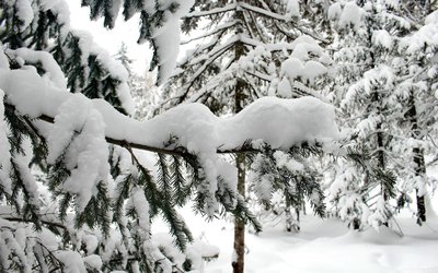 雪后公园惹人爱