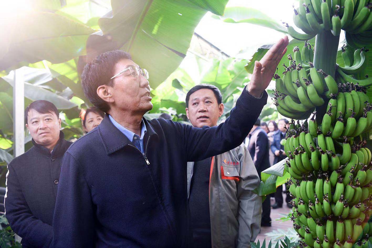巴音朝鲁在吉林市调研时强调 牢记习近平总书记殷切嘱托 率先实现农业现代化