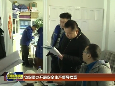 省安委办开展安全生产督导检查