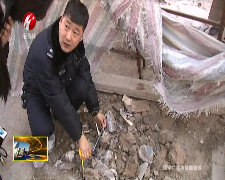 城市景观遭破坏 砍伐小树为哪般？