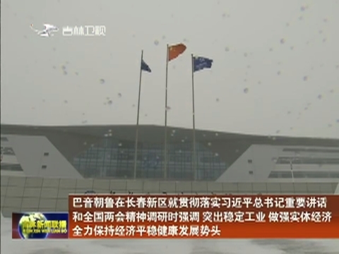 巴音朝鲁在长春新区就贯彻落实习近平总书记重要讲话和全国两会精神调研时强调 突出稳定工业 做强实体经济 全力保持经济平稳健康发展势头
