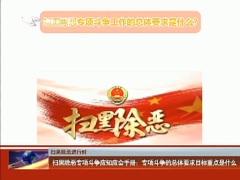 【扫黑除恶进行时】扫黑除恶专项斗争应知应会手册：专项斗争的总体要求目标重点是什么