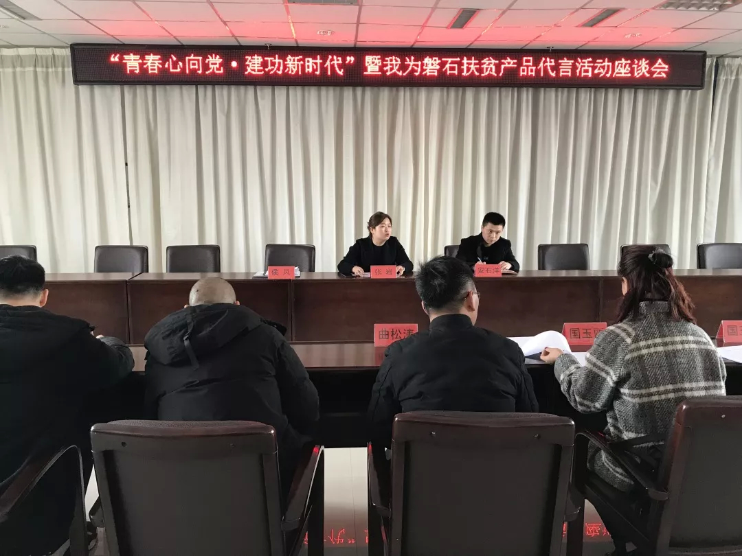 团市委召开“青春心向党·建功新时代”暨我为磐石扶贫产品代言活动座谈会