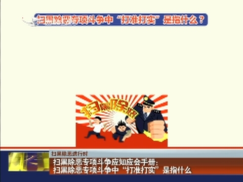 【扫黑除恶进行时】扫黑除恶专项斗争应知应会手册5：扫黑除恶专项斗争中“打准打实”是指什么