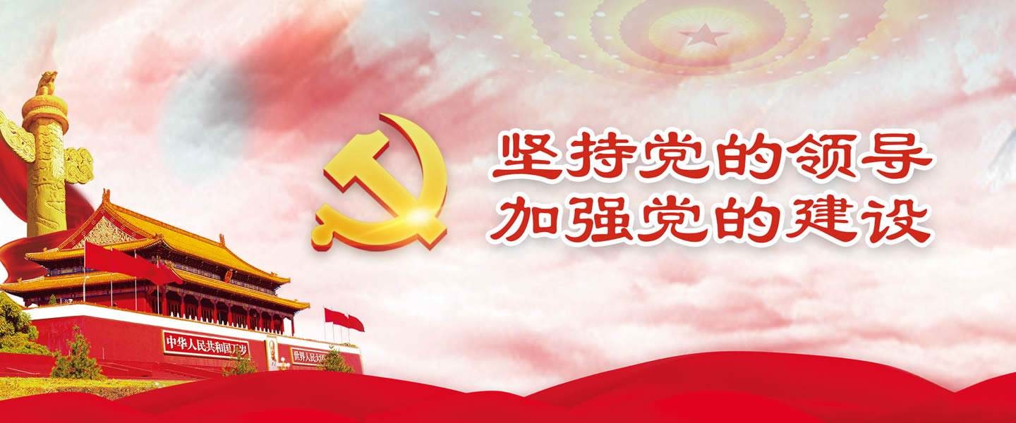 不断提高党的建设质量