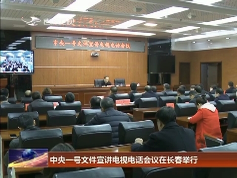 中央一号文件宣讲电视电话会议在长春举行