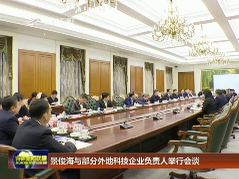 景俊海与部分外地科技企业负责人举行会谈