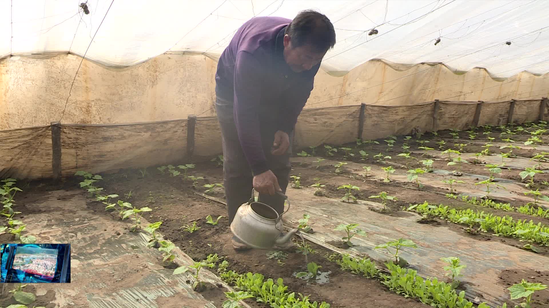 04月03日 생기로 차넘치는 남새하우스