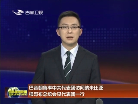 巴音朝鲁率中共代表团访问纳米比亚 根哥布总统会见代表团一行