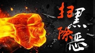 扫黑除恶 吉林亮剑 | 辽源日报评论员文章:以督导为抓手 推动我市扫黑除恶专项斗争不断深入开展