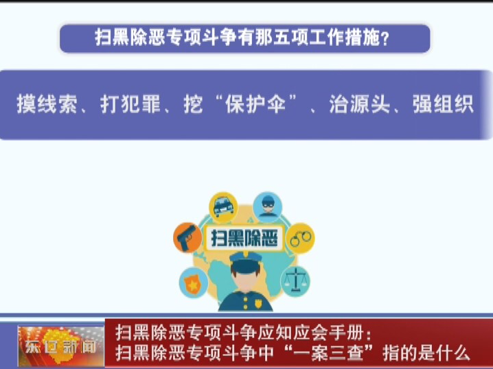 扫黑除恶专项斗争应知应会手册