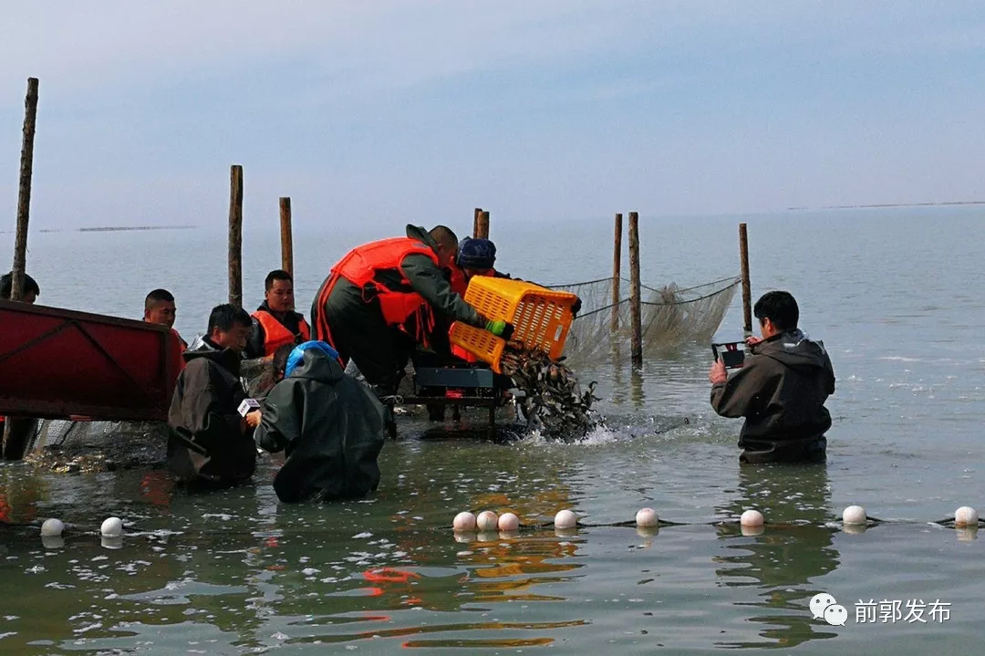 查干湖400万尾鱼苗入湖引央视关注