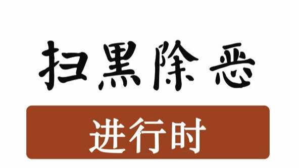 聚焦吉林省扫黑除恶专项斗争十大亮点工作之七