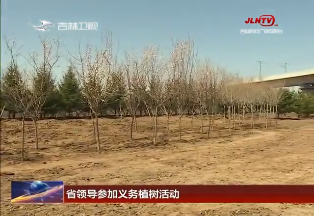 省领导参加义务植树活动