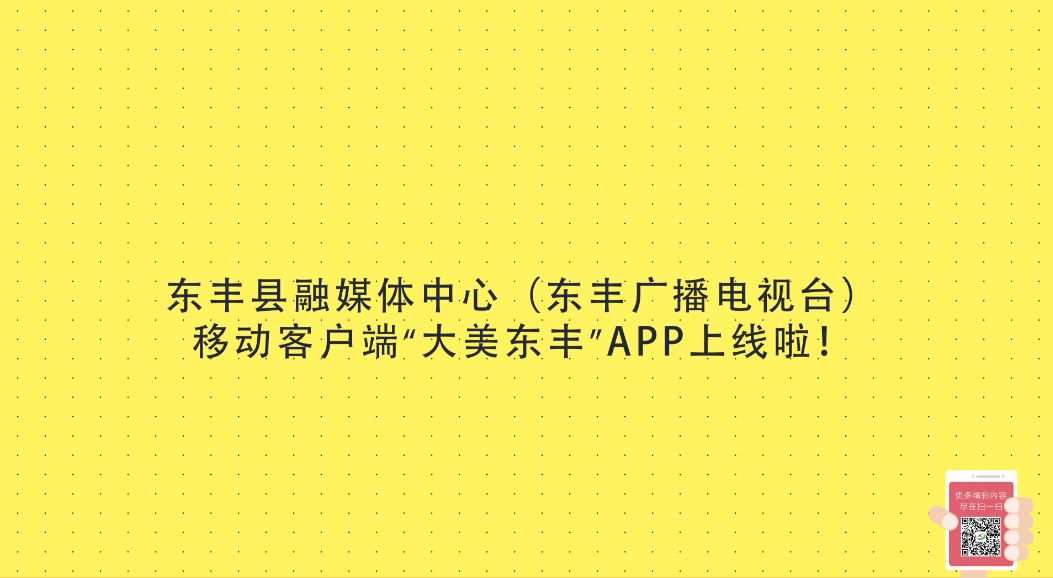 “大美东丰”app上线啦