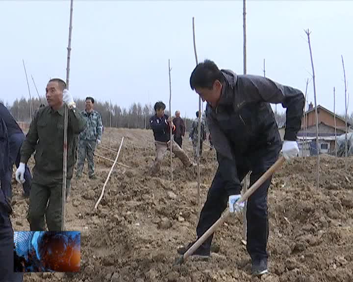 吉林省政府副秘书长高材林一行来我市参加义务植树活动