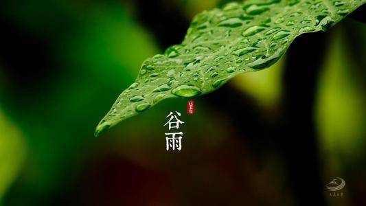 生机盎然，今日谷雨