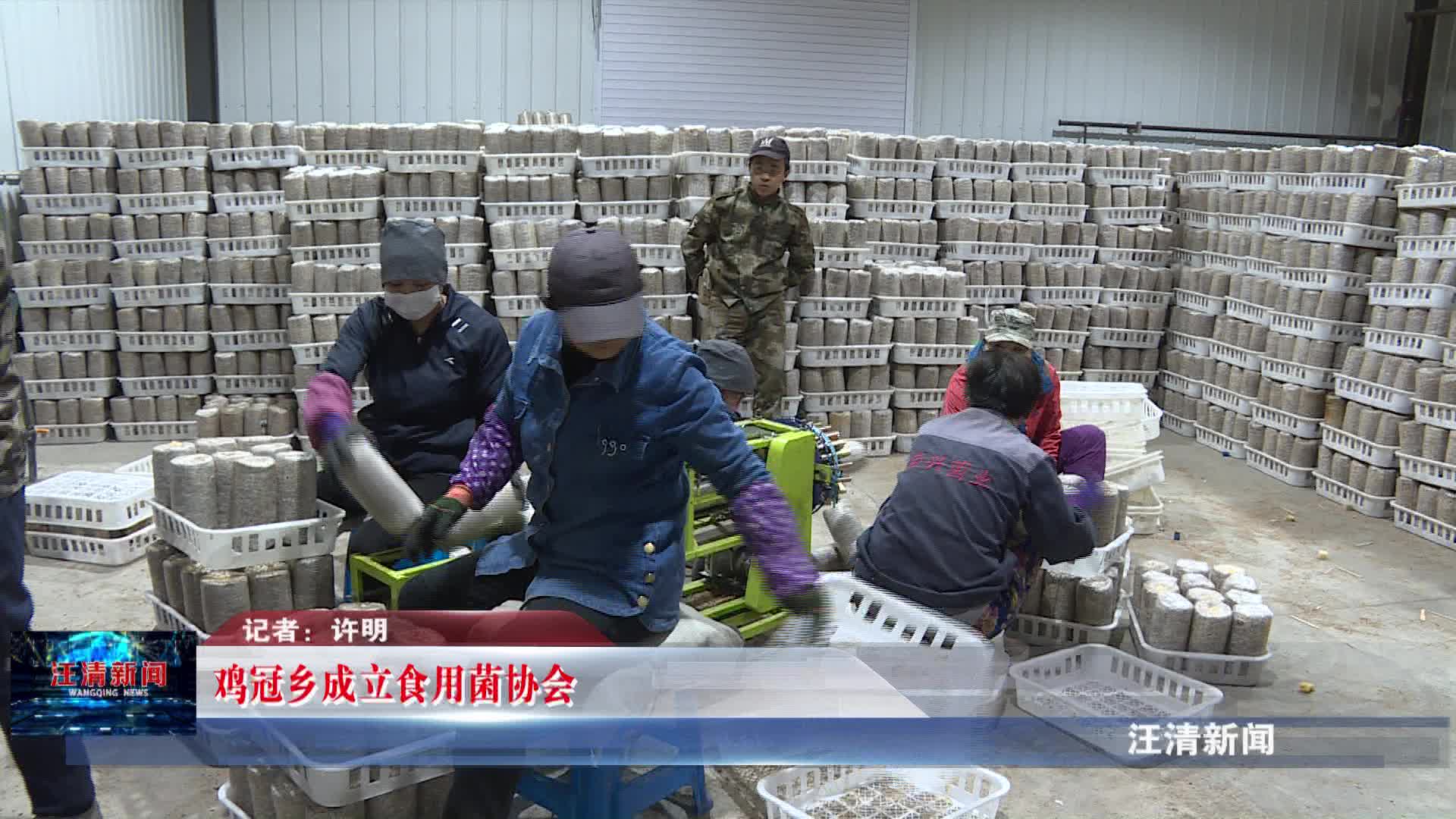 04月22日 鸡冠乡成立食用菌协会