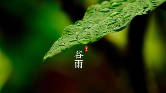 二十四节气|周六谷雨，雨频霜断气清和。