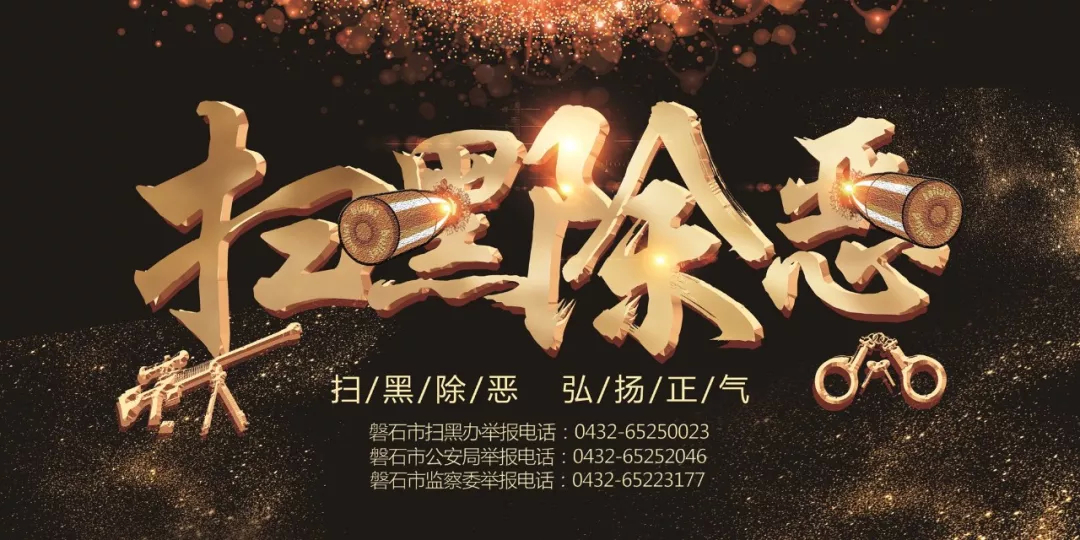 13张图带你揭开黑恶犯罪的面纱