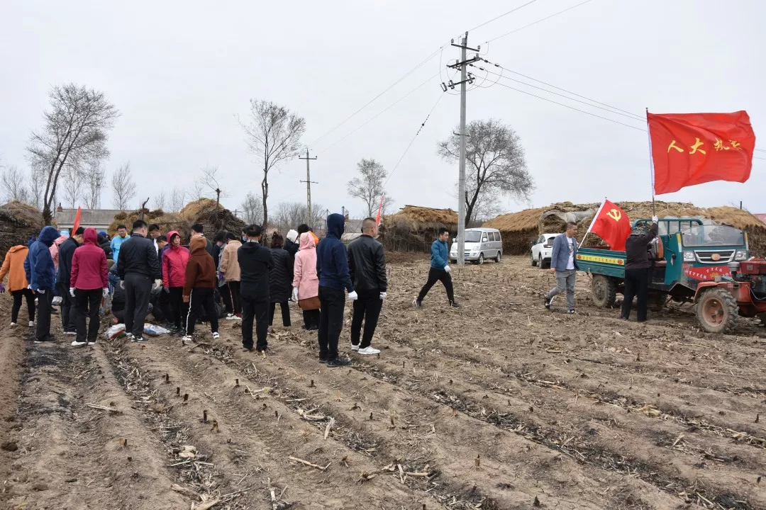 磐石市人大机关组织包保部门党员干部到红旗岭镇党群联建扶贫田参加义务劳动