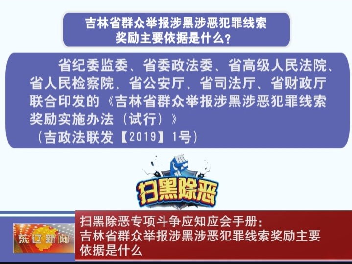 扫黑除恶专项斗争应知应会手册