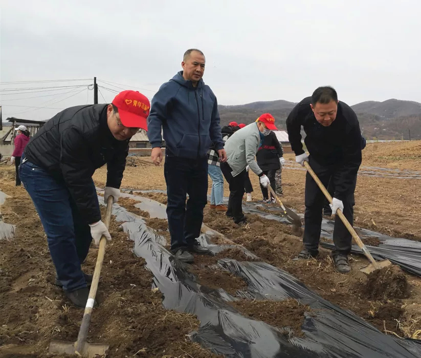 市委宣传部机关党支部开展“党员干部下基层 助力建设扶贫田”活动