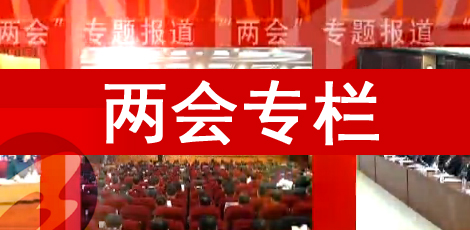 两会专题报道2019年1月8日