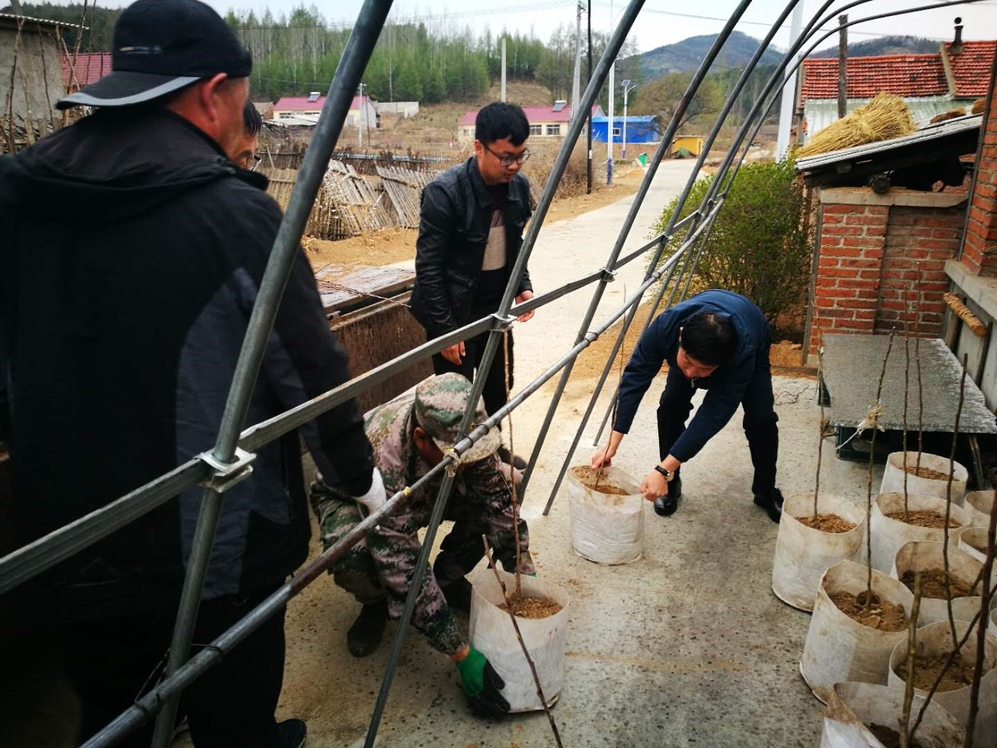 县人民法院：精准扶贫暖人心  植树扶贫又植“富”