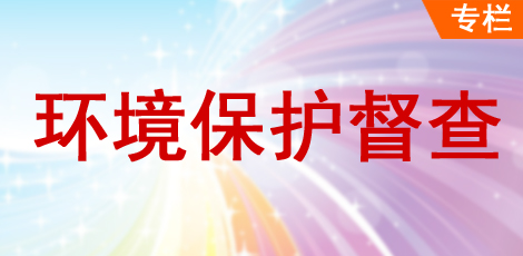 省第四生态环境保护督察组组长孙谦实地督察 向海自然保护区国家督察反馈问题整改工作