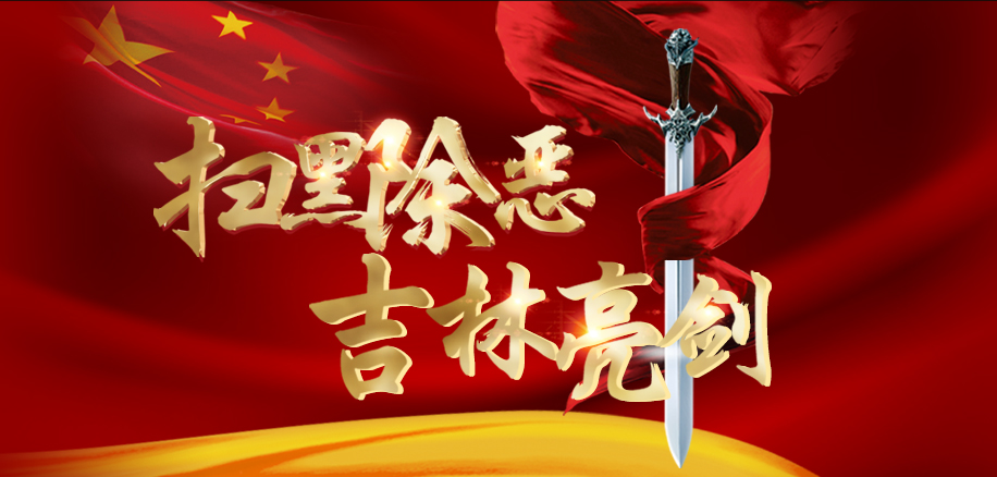 《中华人民共和国刑法》第二百九十四条的规定是什么？