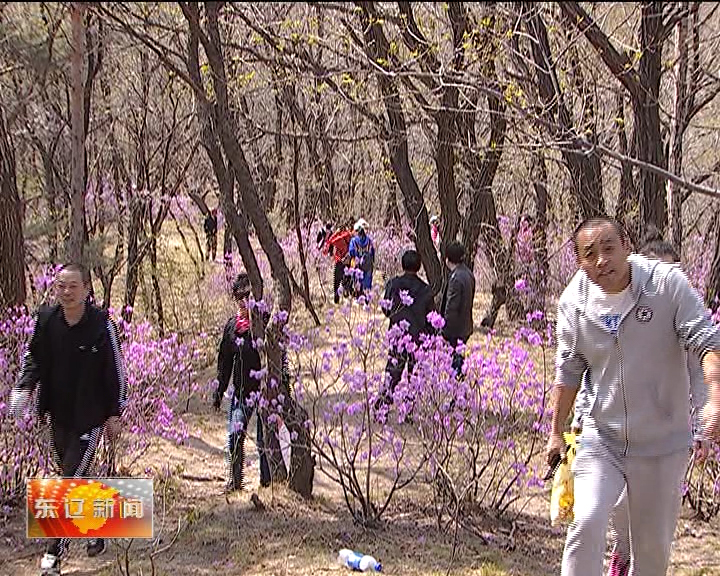 新闻特写：踏青好去处——乌龙山森林公园