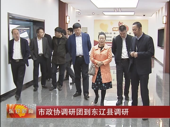 市政协调研团到东辽县调研