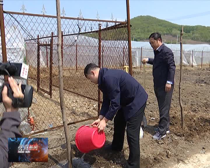 吉林市委书记王庭凯到烟筒山镇大黑山村参加义务植树活动