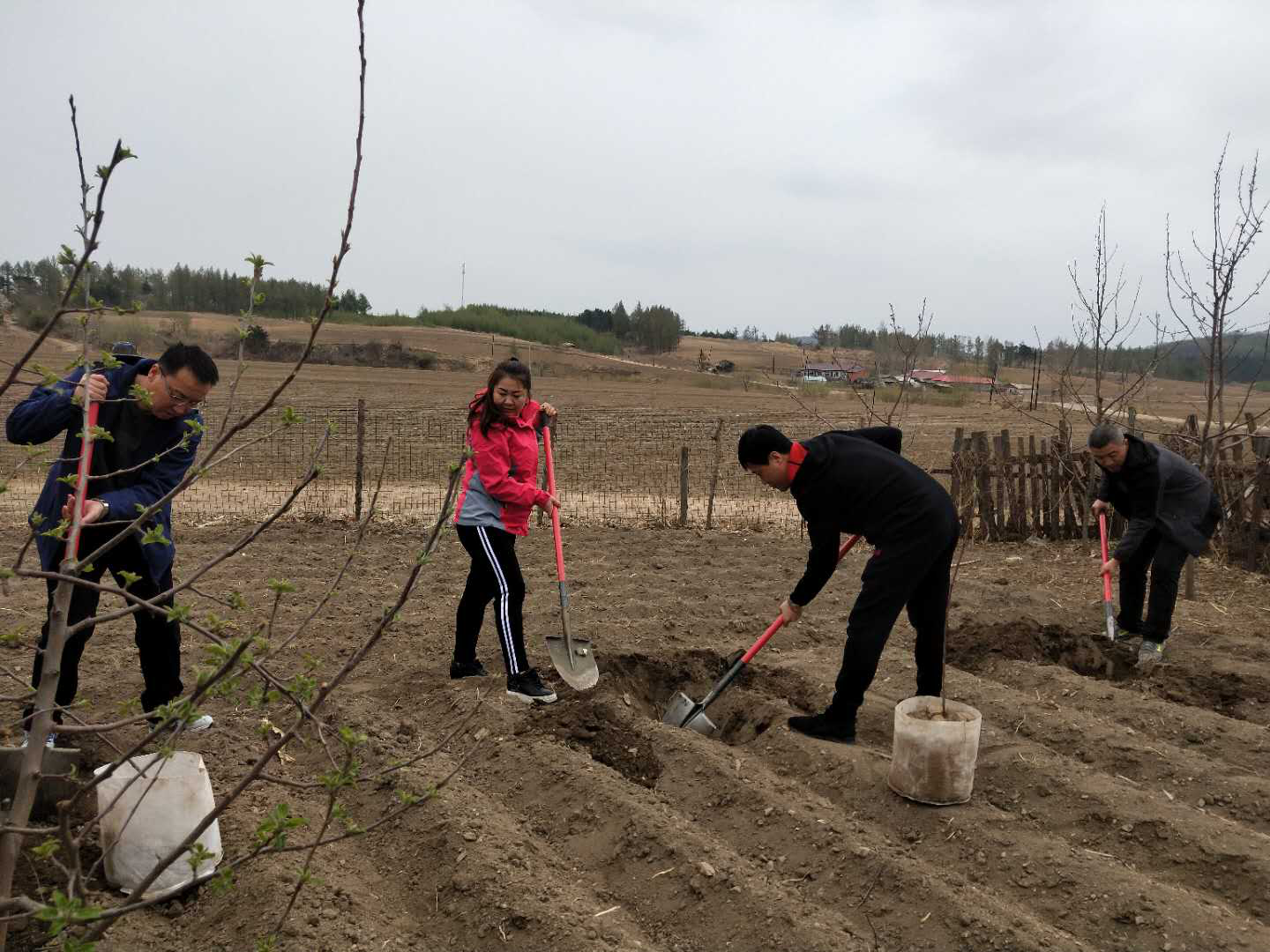 东丰县退役军人事务局春季植树活动