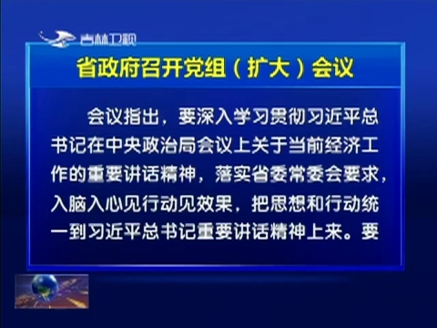 省政府召开党组（扩大）会议