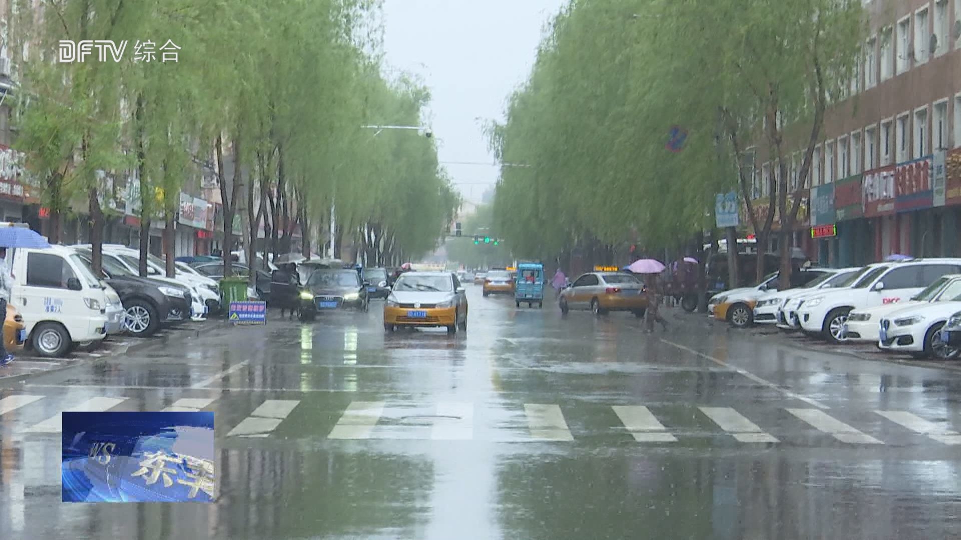 我县迎来一场透雨