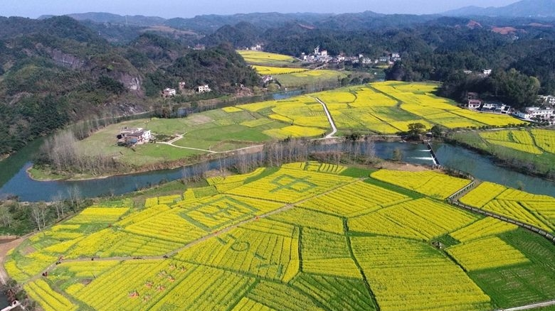 乡村振兴须践行绿色发展理念