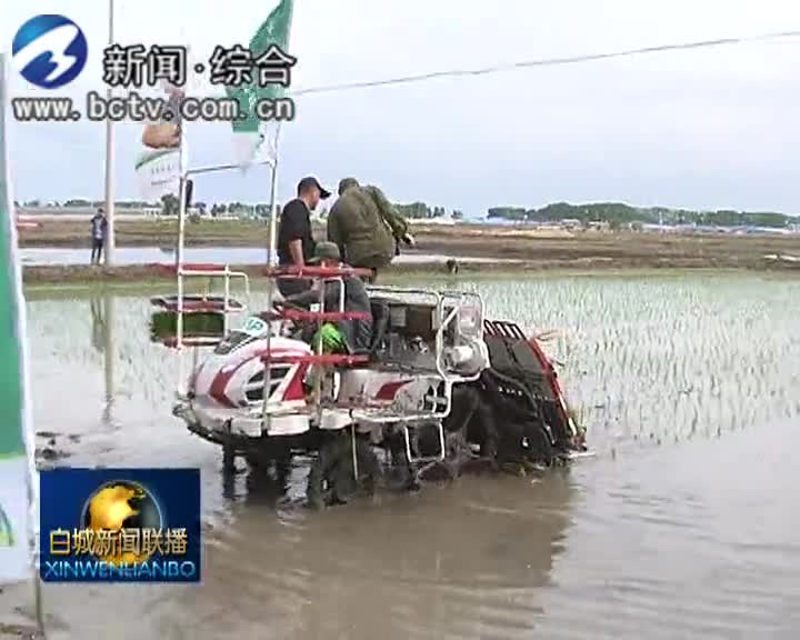 洮北区果树场水稻机械化生产迎来“升级版”