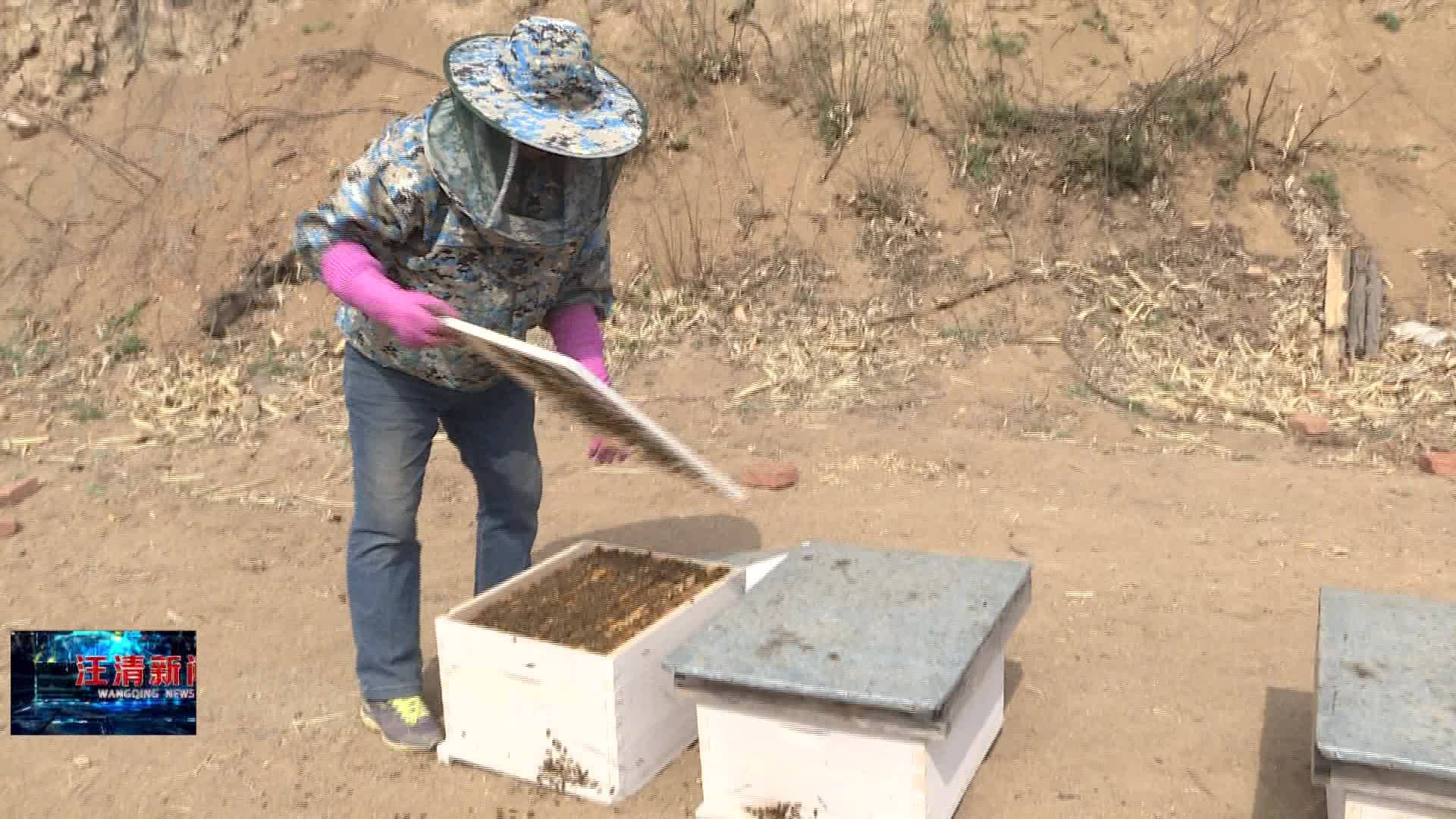 05月30日 “芳草蜜”甜芳草村