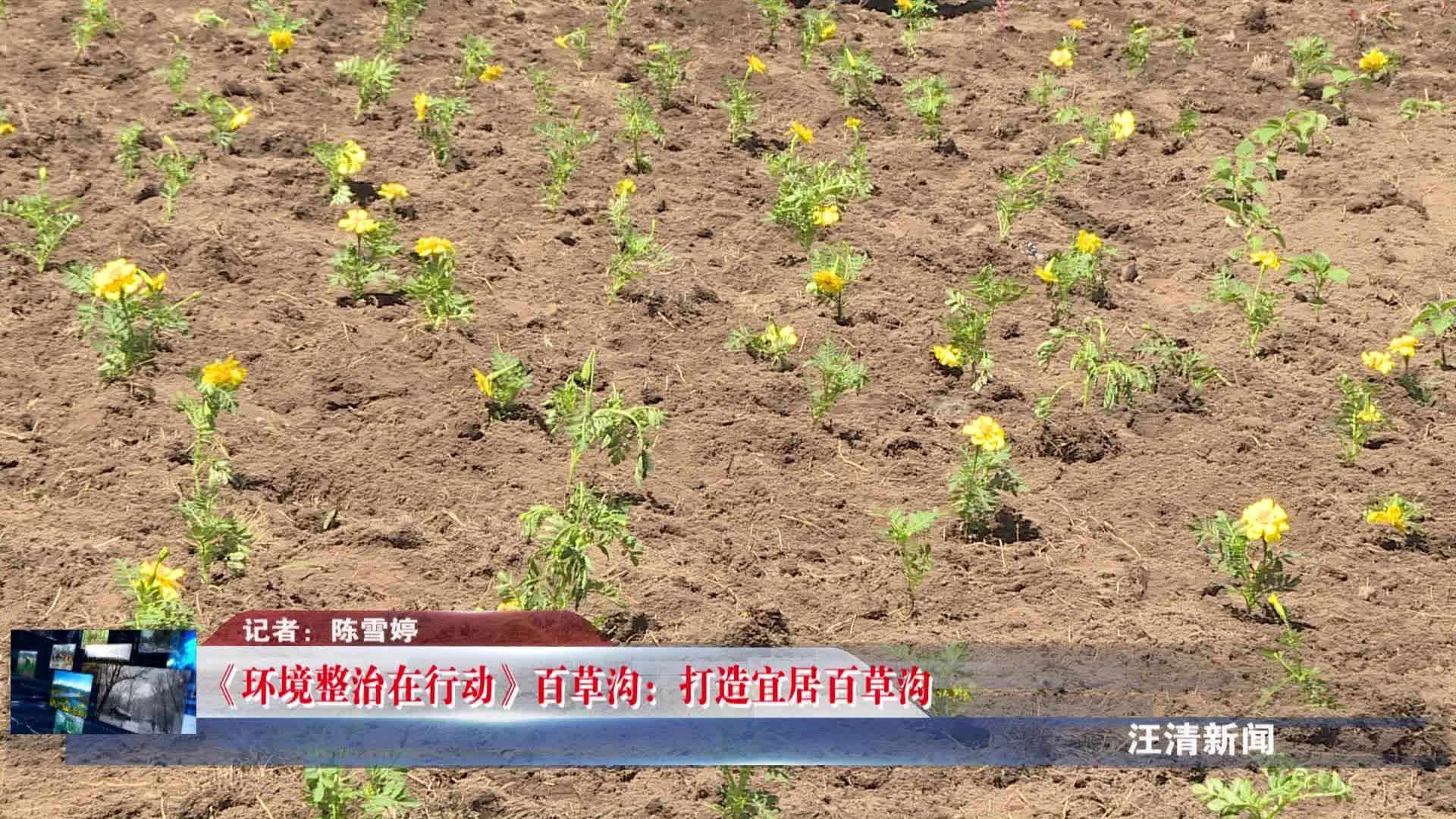 05月31日 《环境整治在行动》百草沟：打造宜居百草沟