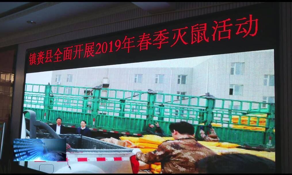镇赉县爱卫会开展除四害活动