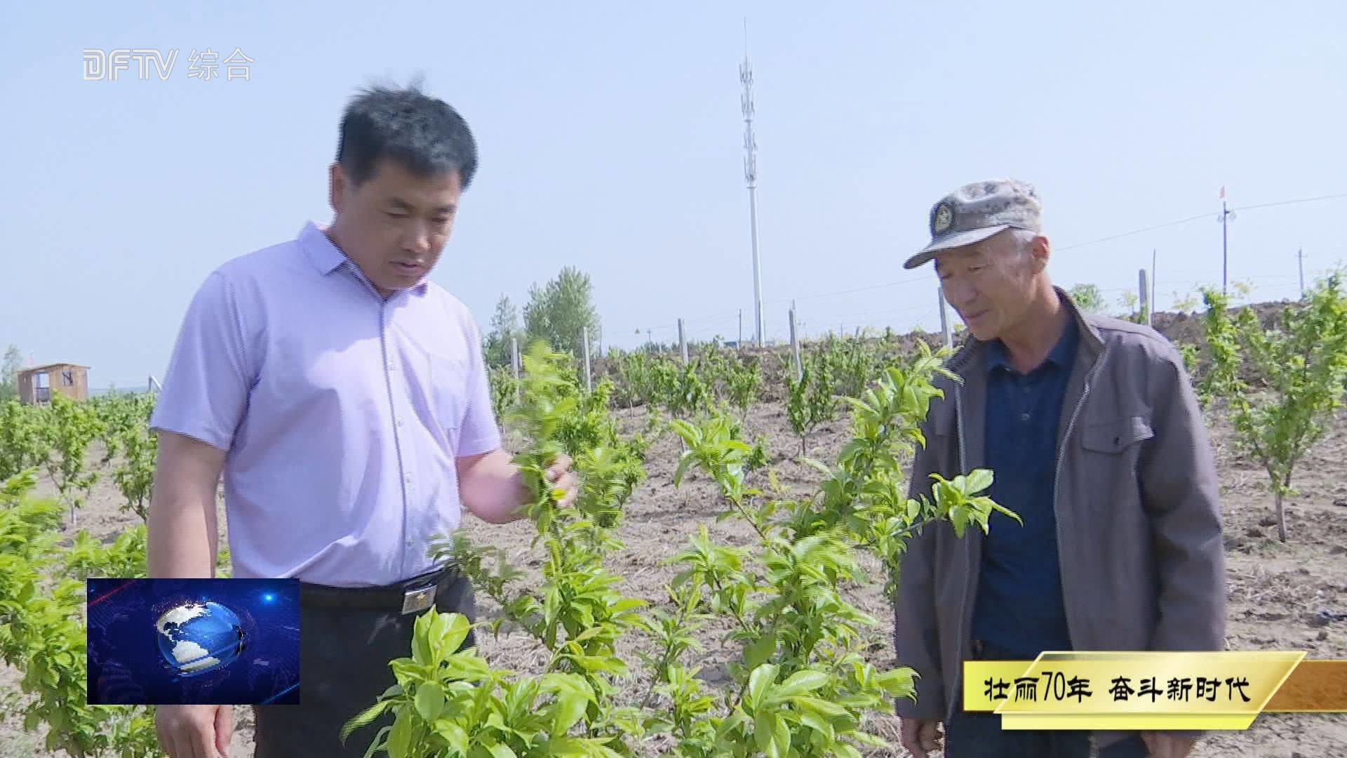 【壮丽70年• 奋斗新时代】赵长海：村民的致富带头人