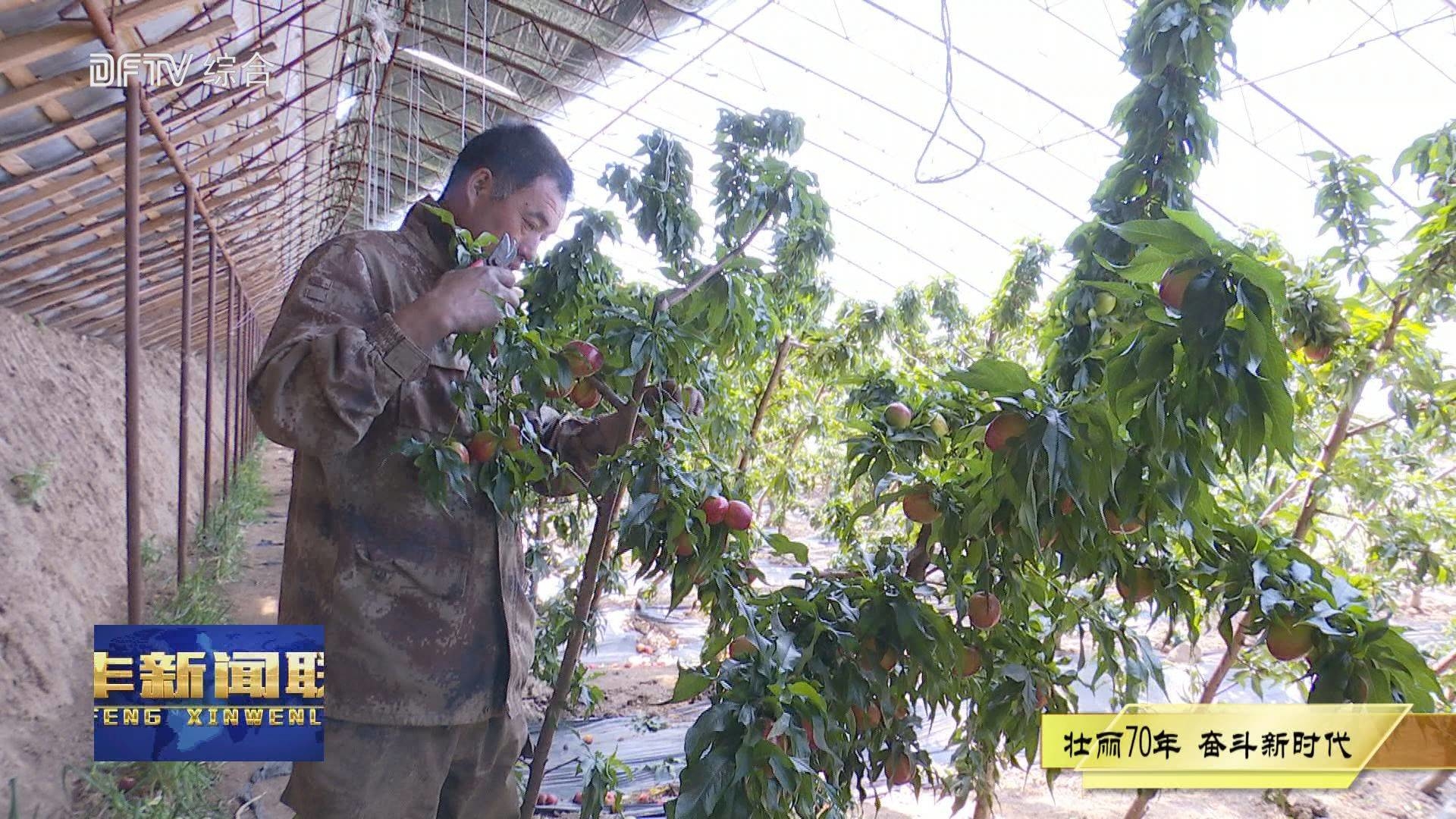 【壮丽70年• 奋斗新时代】艰苦奋斗树榜样 致富路上瓜果香