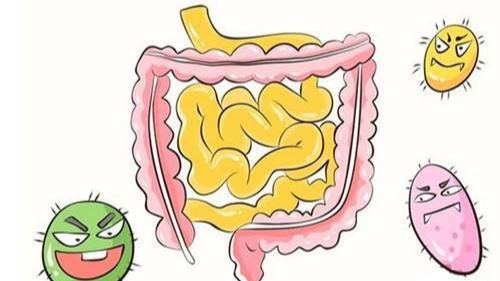 保护肠道健康，哪些食物要少吃？