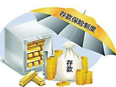 成立存款保险公司是一种制度完善